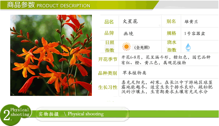 电竞比赛押注app