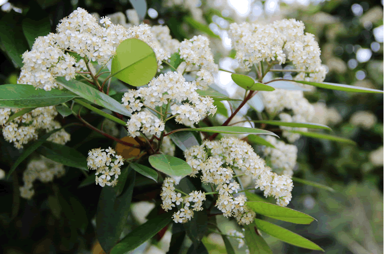 电竞比赛押注app