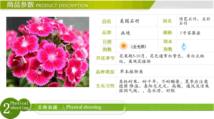 电竞比赛押注app