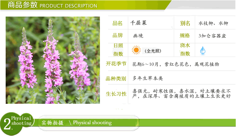 电竞比赛押注app