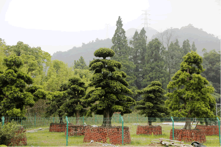 电竞比赛押注app