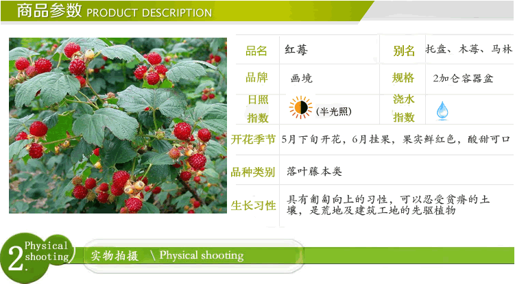 电竞比赛押注app