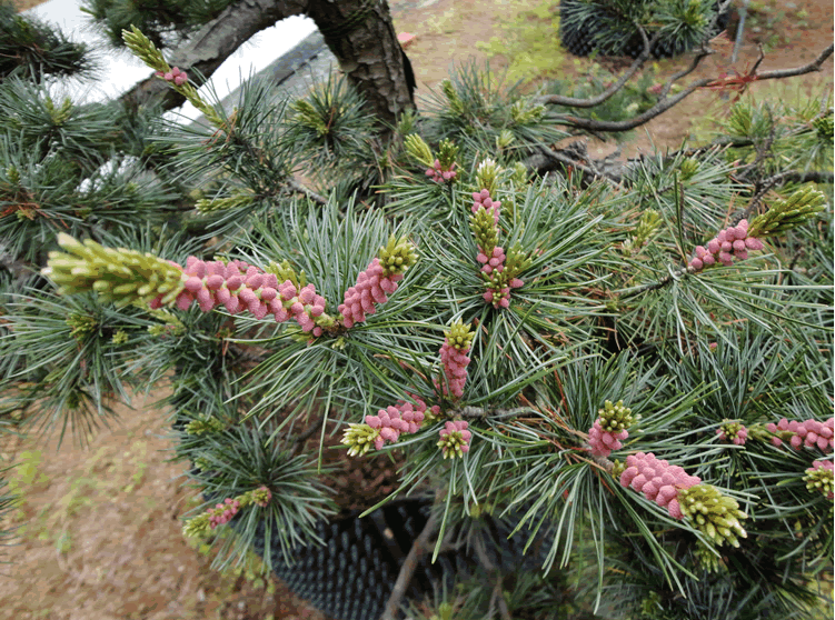 电竞比赛押注app