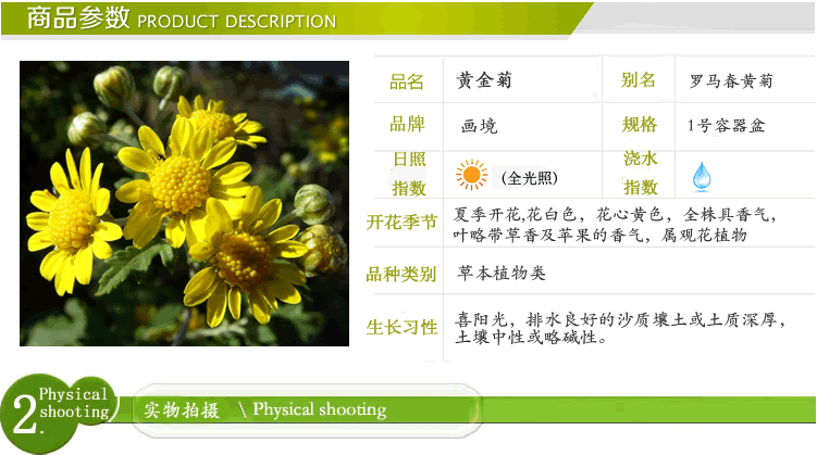 电竞比赛押注app