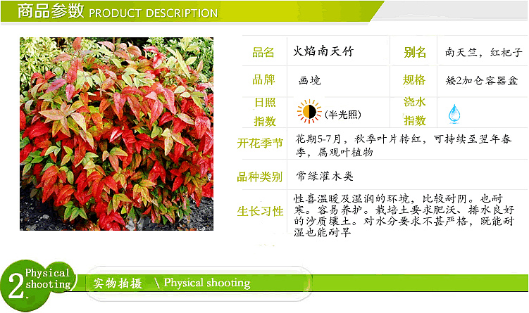 电竞比赛押注app