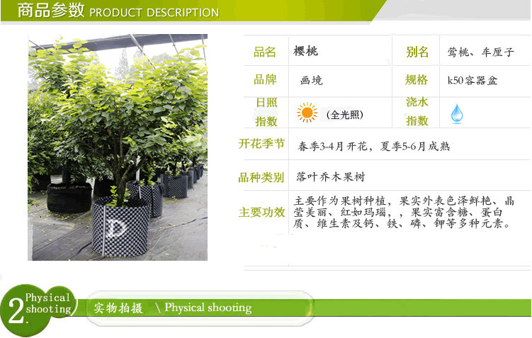 电竞比赛押注app