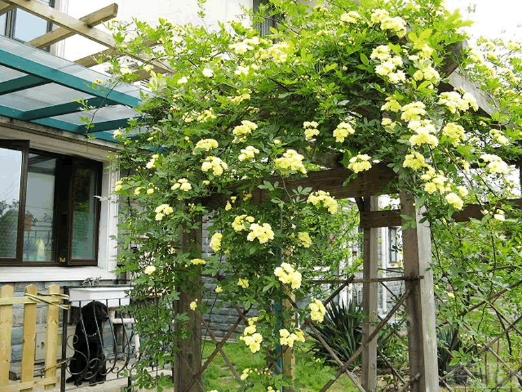 电竞比赛押注app