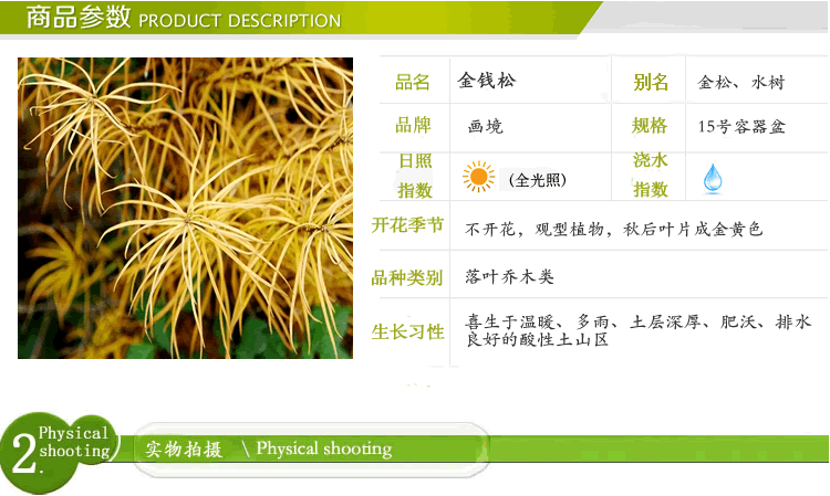 电竞比赛押注app