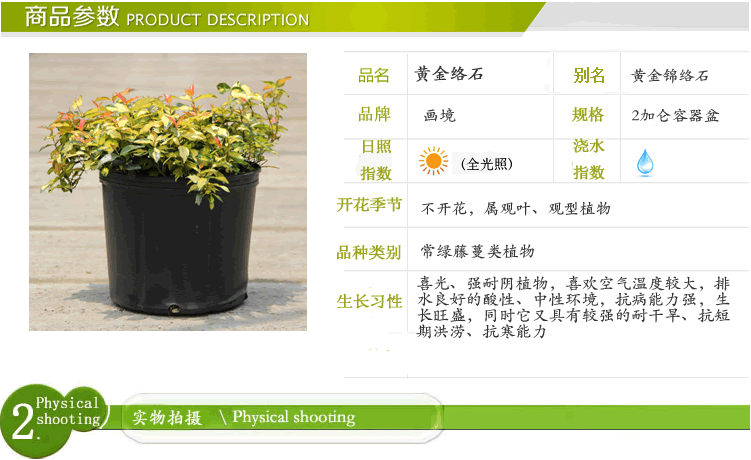 电竞比赛押注app