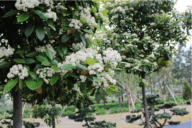 电竞比赛押注app