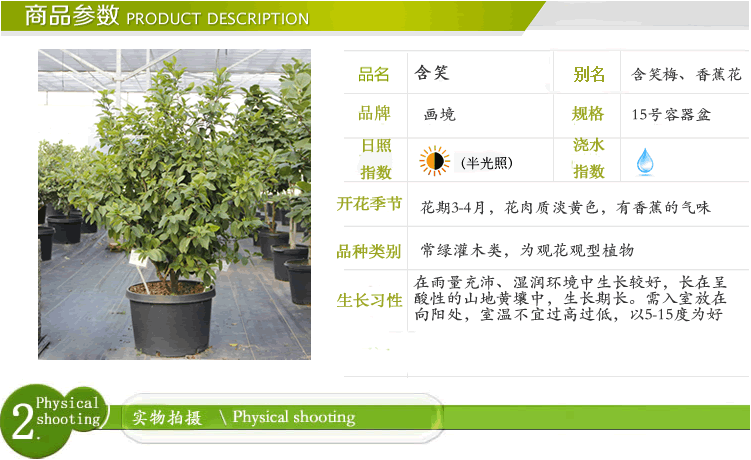 电竞比赛押注app