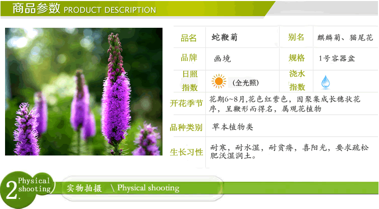 电竞比赛押注app