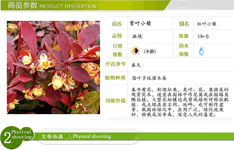 电竞比赛押注app