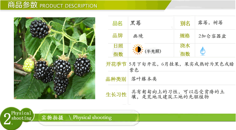 电竞比赛押注app