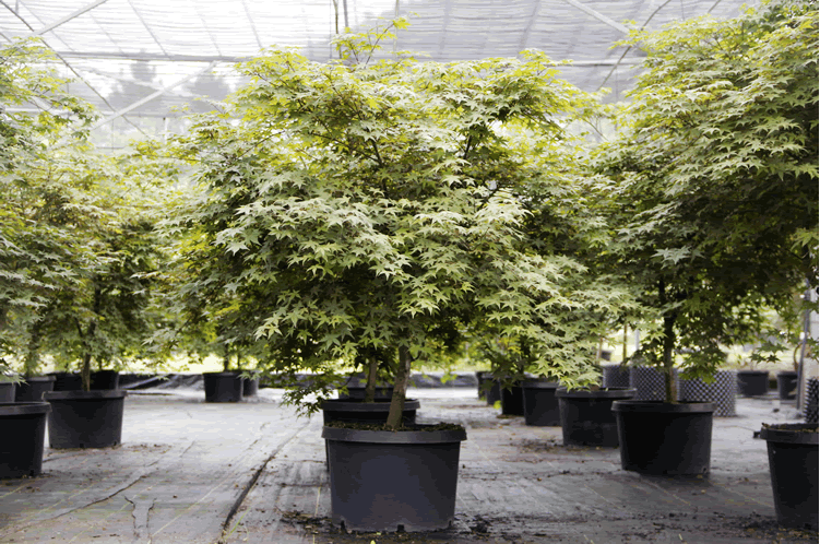 电竞比赛押注app