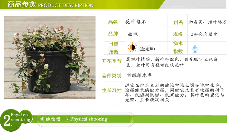 电竞比赛押注app