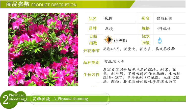 电竞比赛押注app