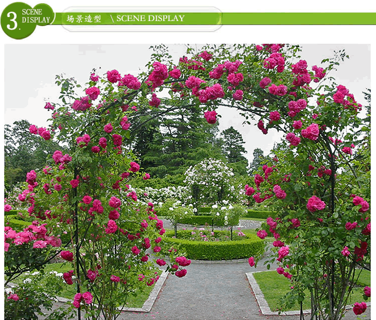 电竞比赛押注app