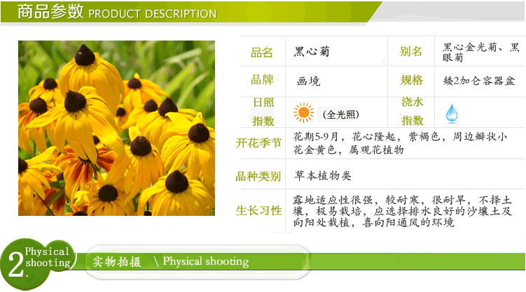 电竞比赛押注app
