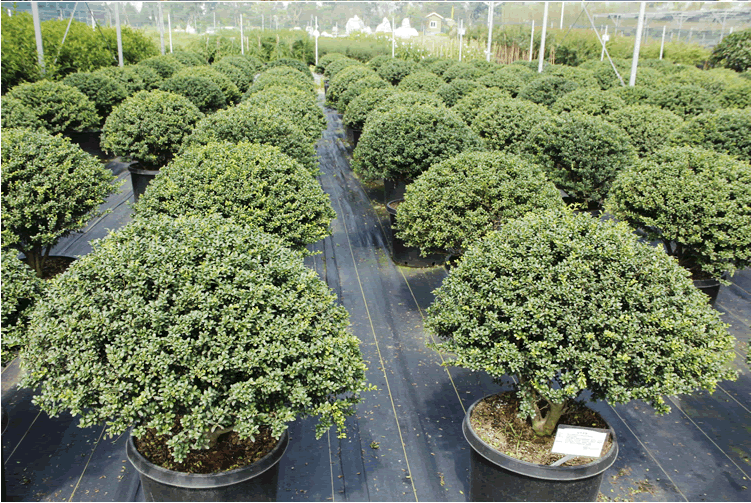 电竞比赛押注app