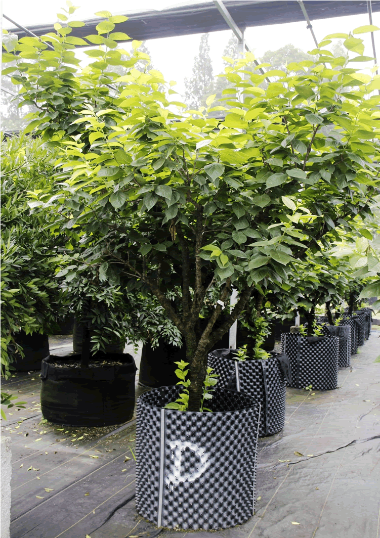 电竞比赛押注app