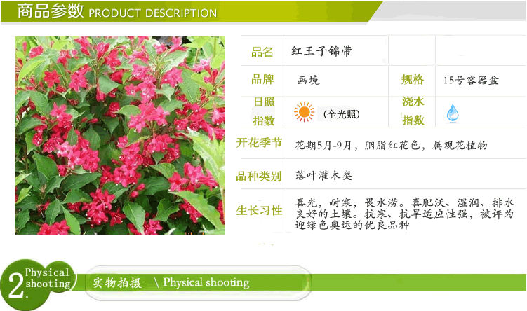 电竞比赛押注app