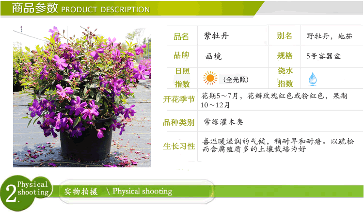 电竞比赛押注app