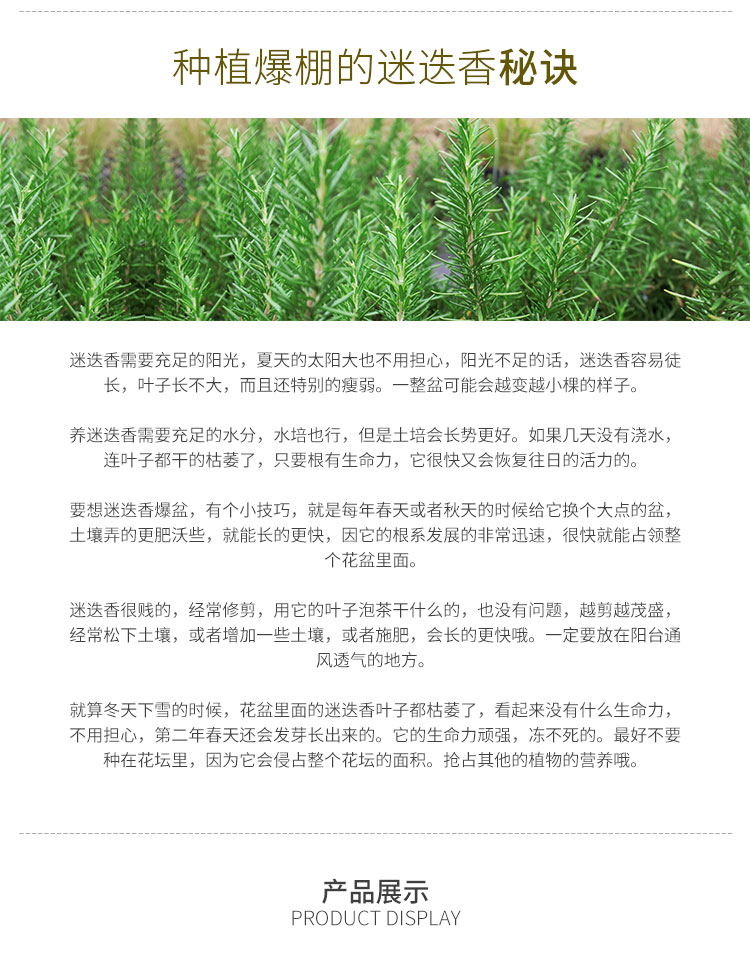 电竞比赛押注app