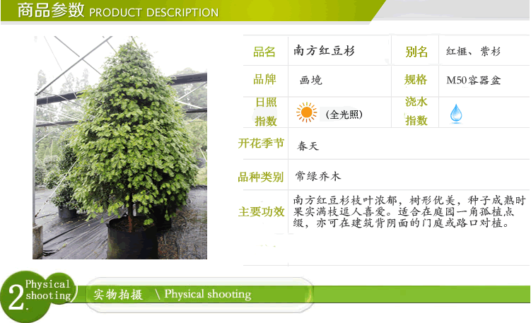 电竞比赛押注app