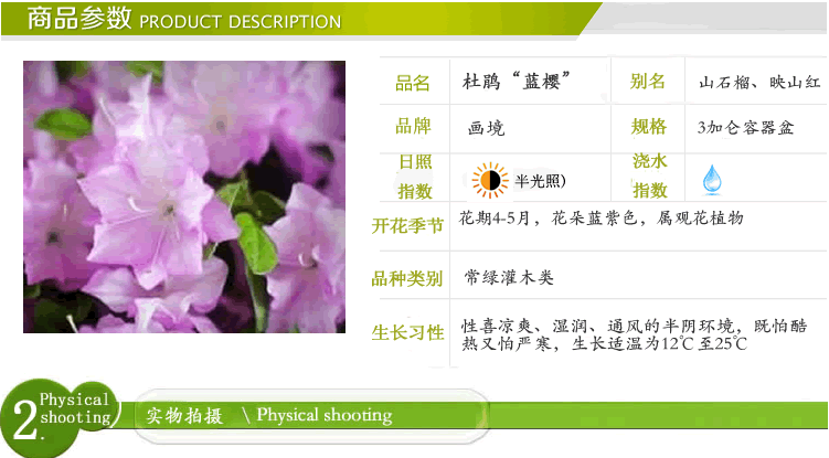 电竞比赛押注app