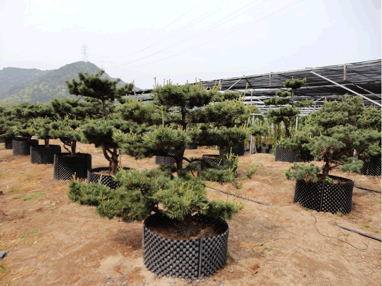 电竞比赛押注app