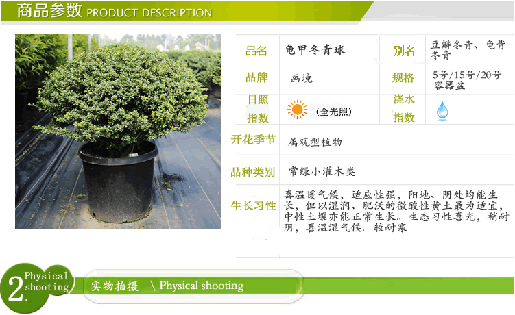 电竞比赛押注app