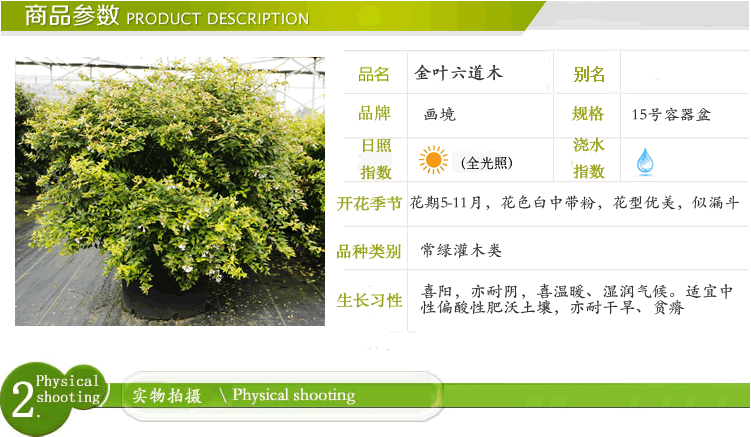 电竞比赛押注app