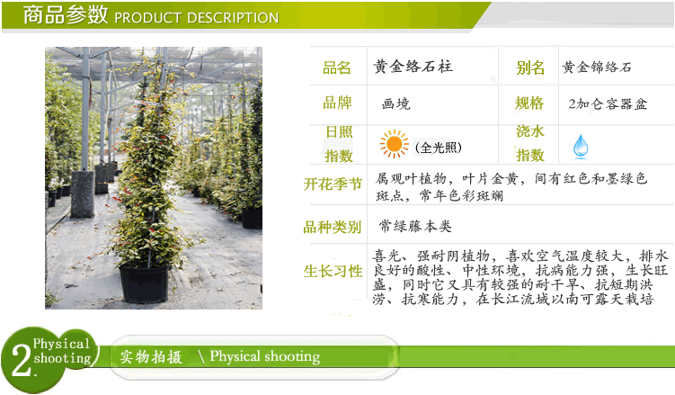 电竞比赛押注app