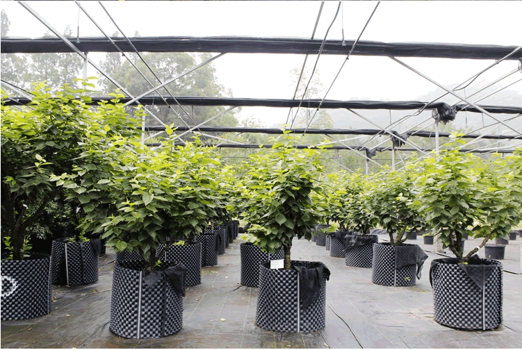 电竞比赛押注app