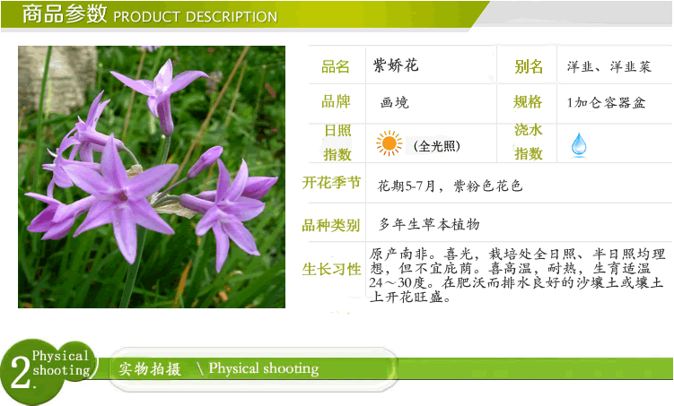 电竞比赛押注app