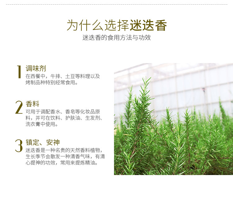 电竞比赛押注app