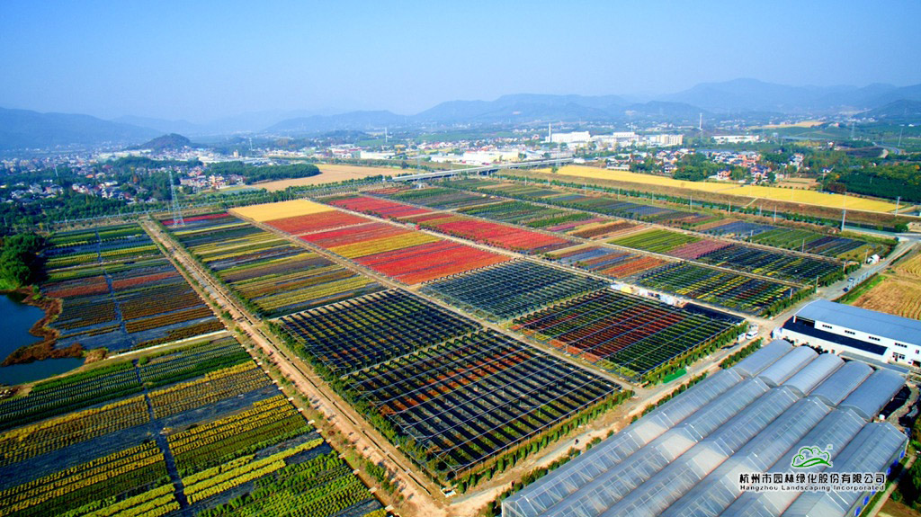 电竞比赛押注app