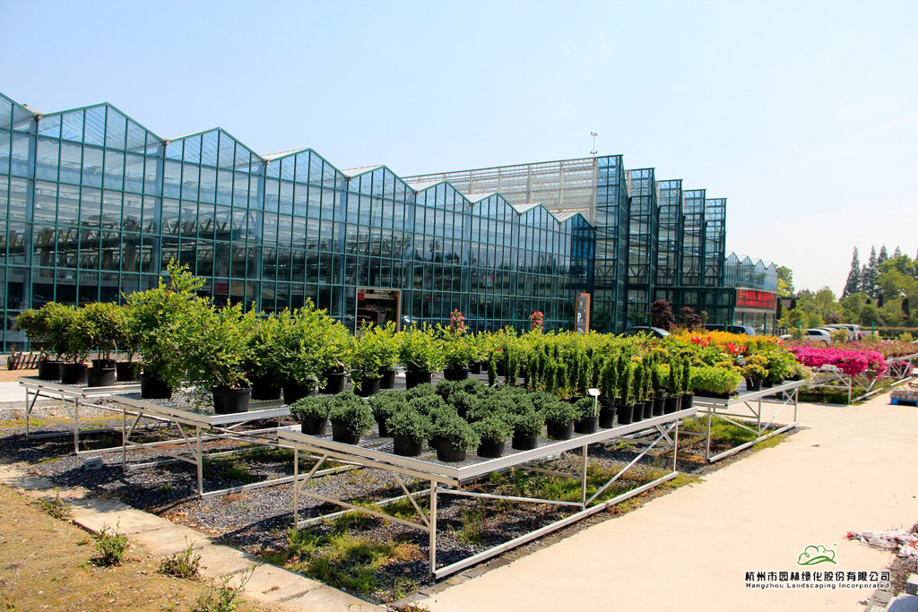 电竞比赛押注app