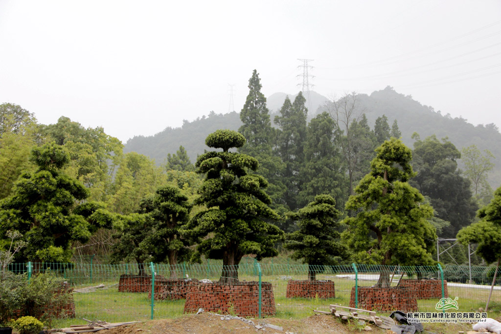 电竞比赛押注app