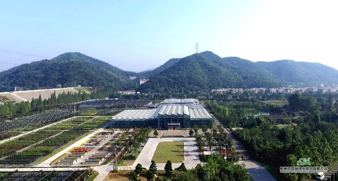 电竞比赛押注app