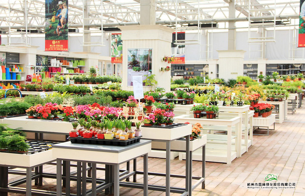 电竞比赛押注app