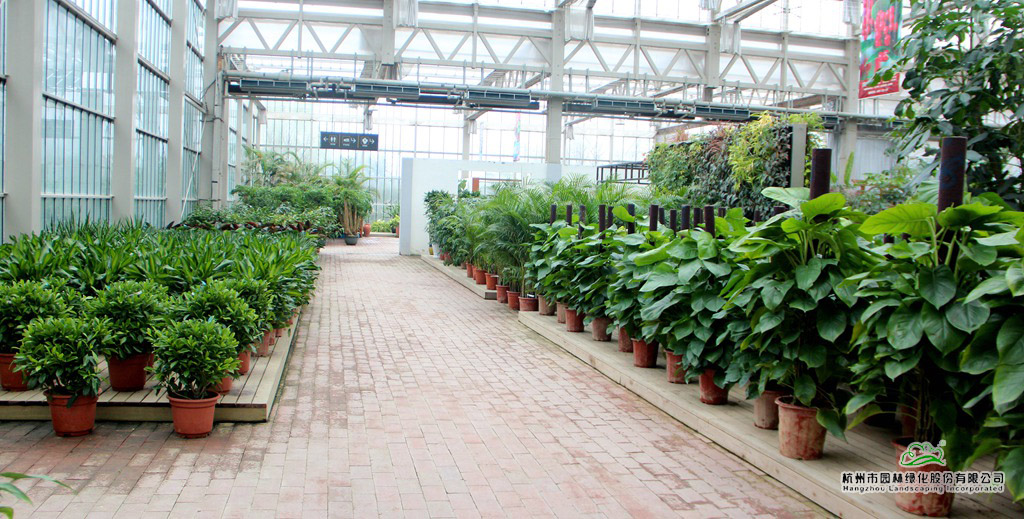 电竞比赛押注app