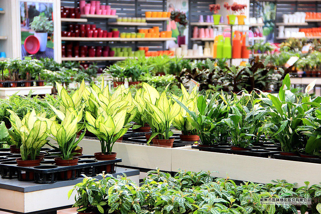 电竞比赛押注app