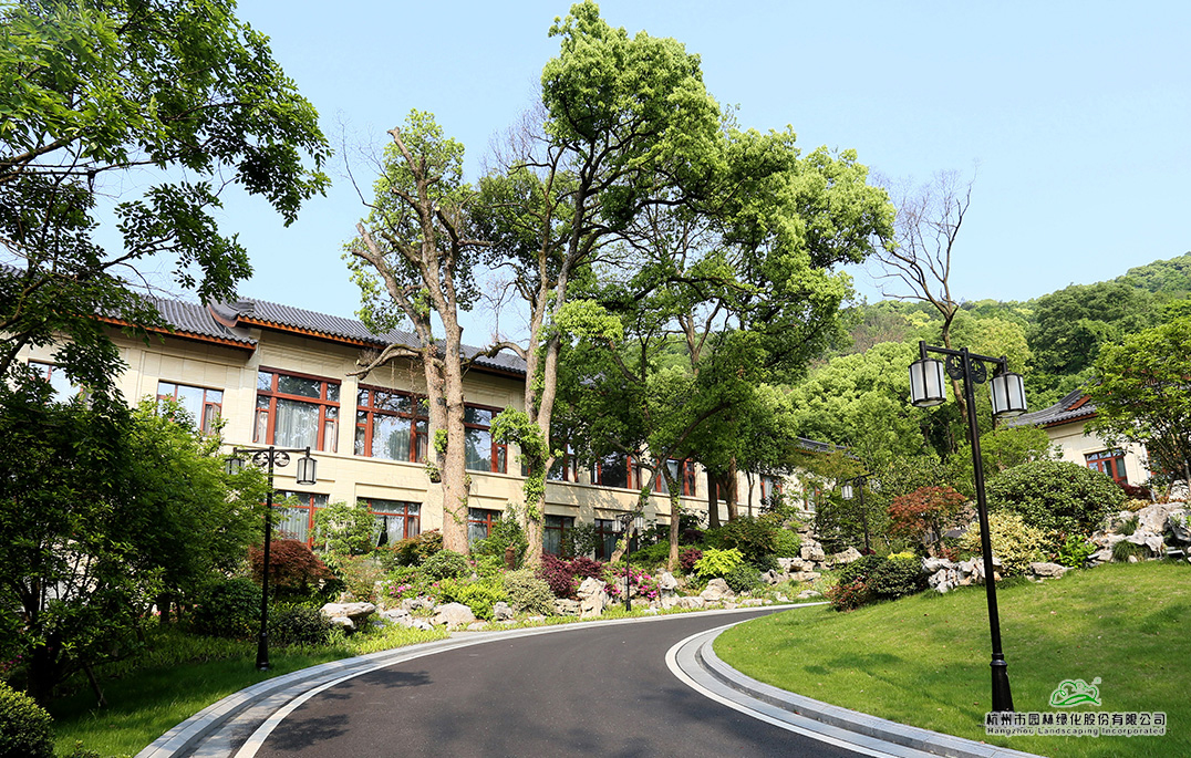 电竞比赛押注app