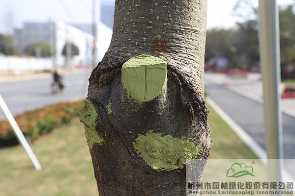 电竞比赛押注app