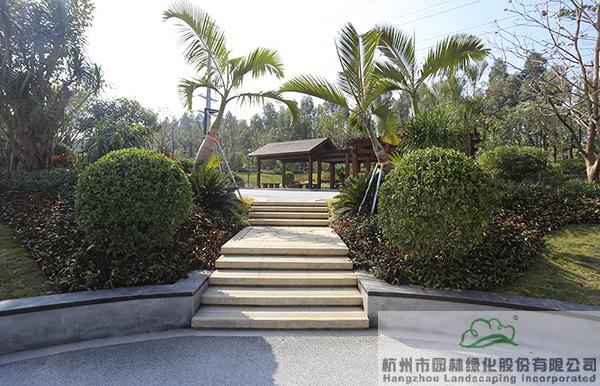 电竞比赛押注app