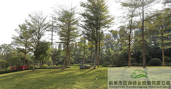 电竞比赛押注app