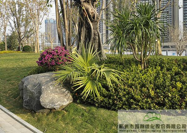 电竞比赛押注app