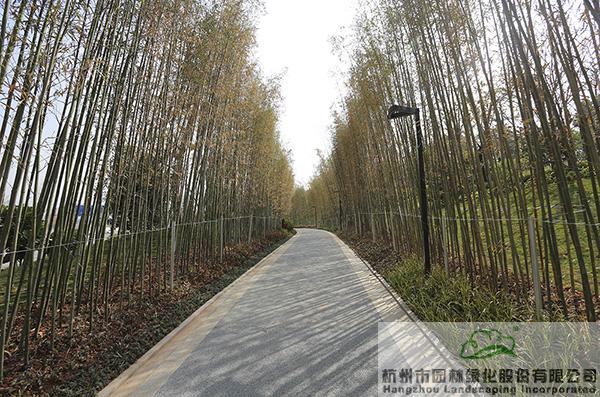 电竞比赛押注app